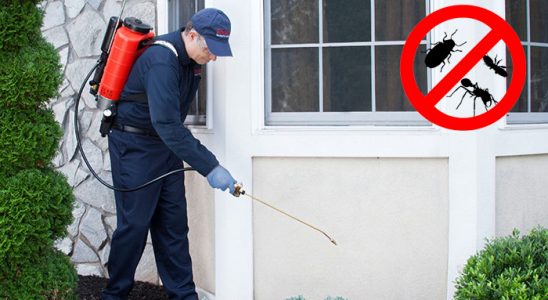 Gemlik Gümüşkurt İlaçlama böcek ilaçlama ve haşere kontrolü — ilaclama-tr.com